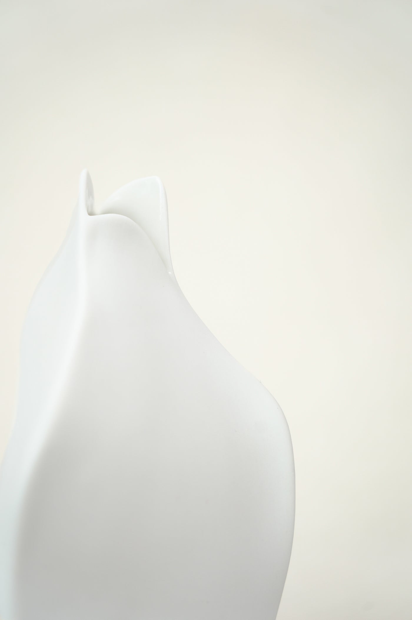 VASE FLOWER