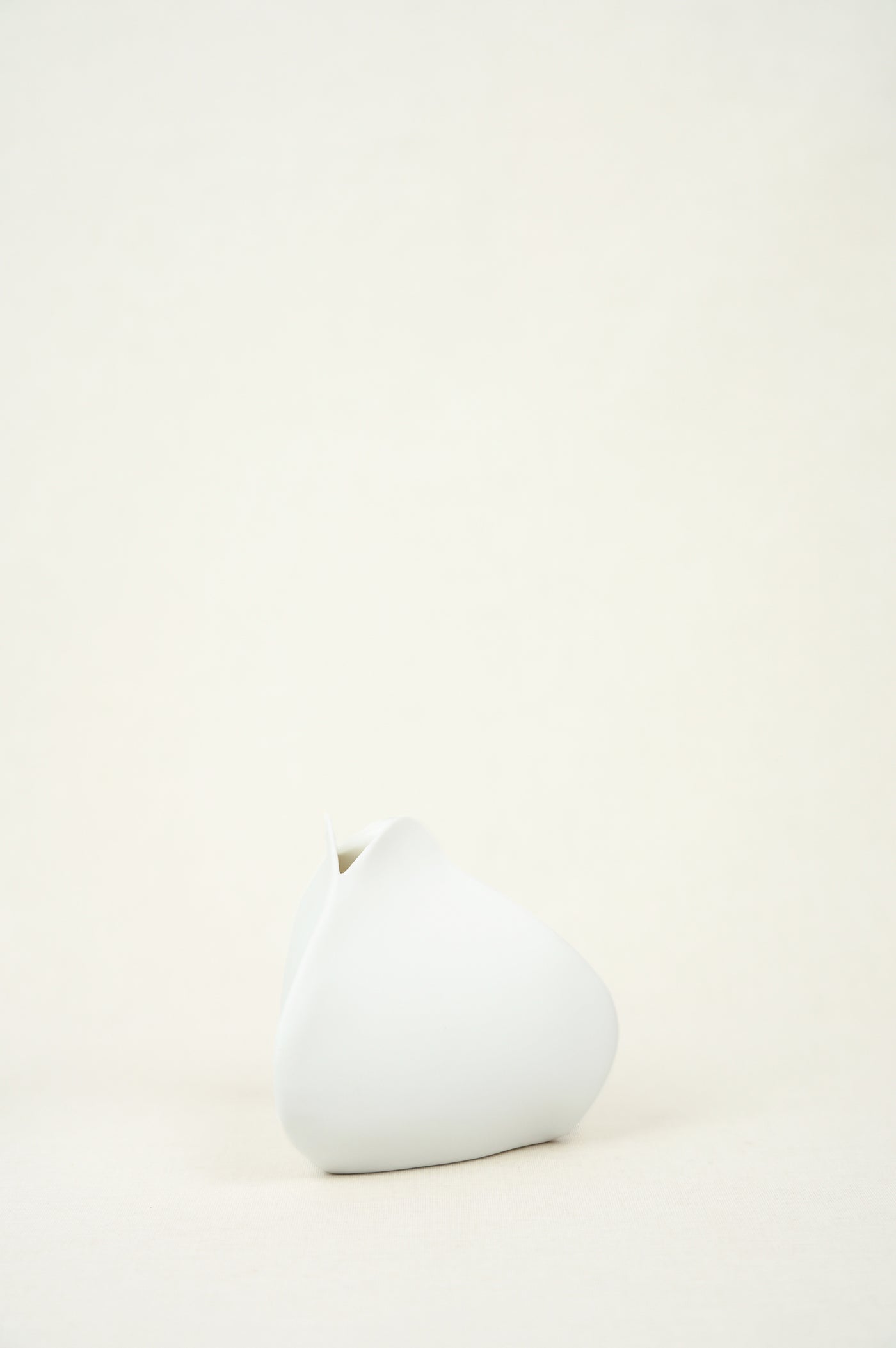 VASE FLOWER